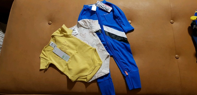 portable potty for car